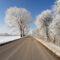 Wie Streugranulat für sichere und schadensfreie Wege im Winter sorgt